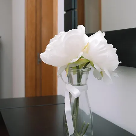 Vistas Al Mar En El Centro By * 莫阿纳